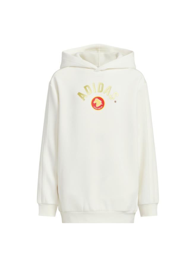 كنزة SPORTSWEAR Junior Boy Knitted